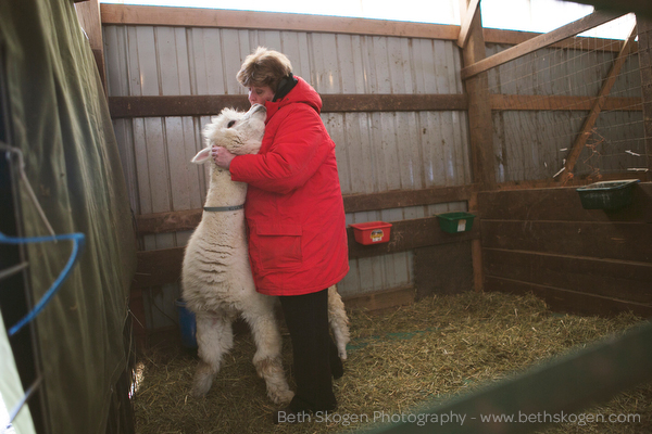 Sauk Creek Alpacas