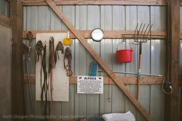 Sauk Creek Alpacas