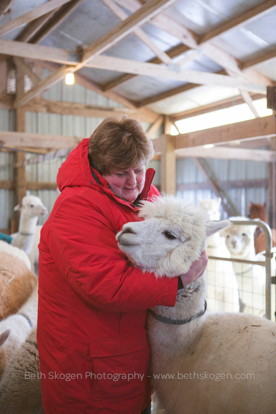 Sauk Creek Alpacas