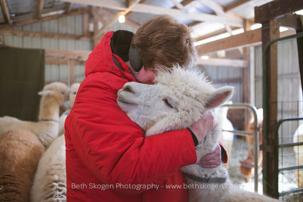 Sauk Creek Alpacas